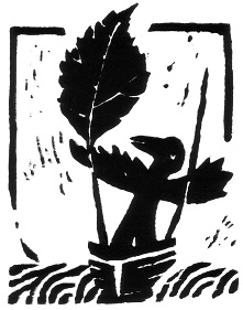 Boot mit Rahmen original scan